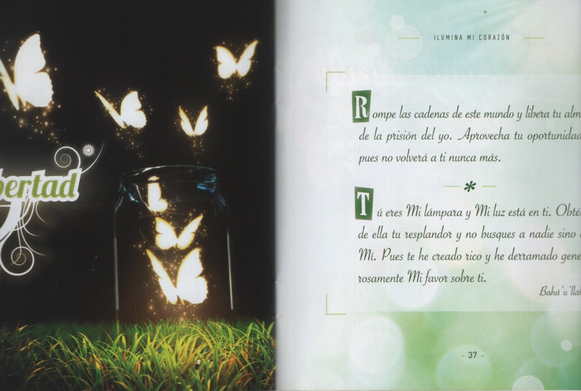 Ilumina mi Corazón
