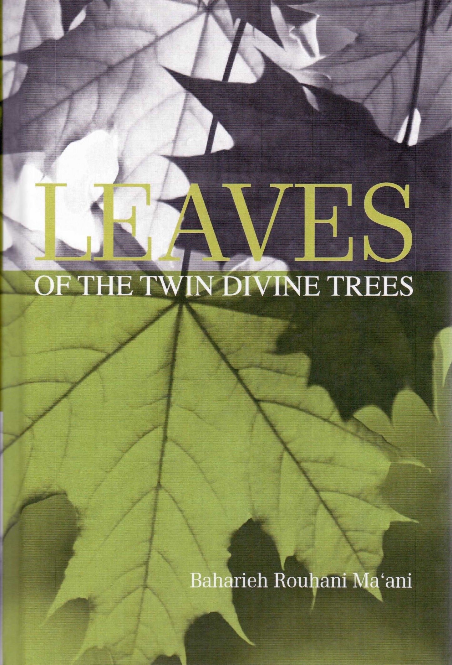 Leaves of the Twin Divine Trees