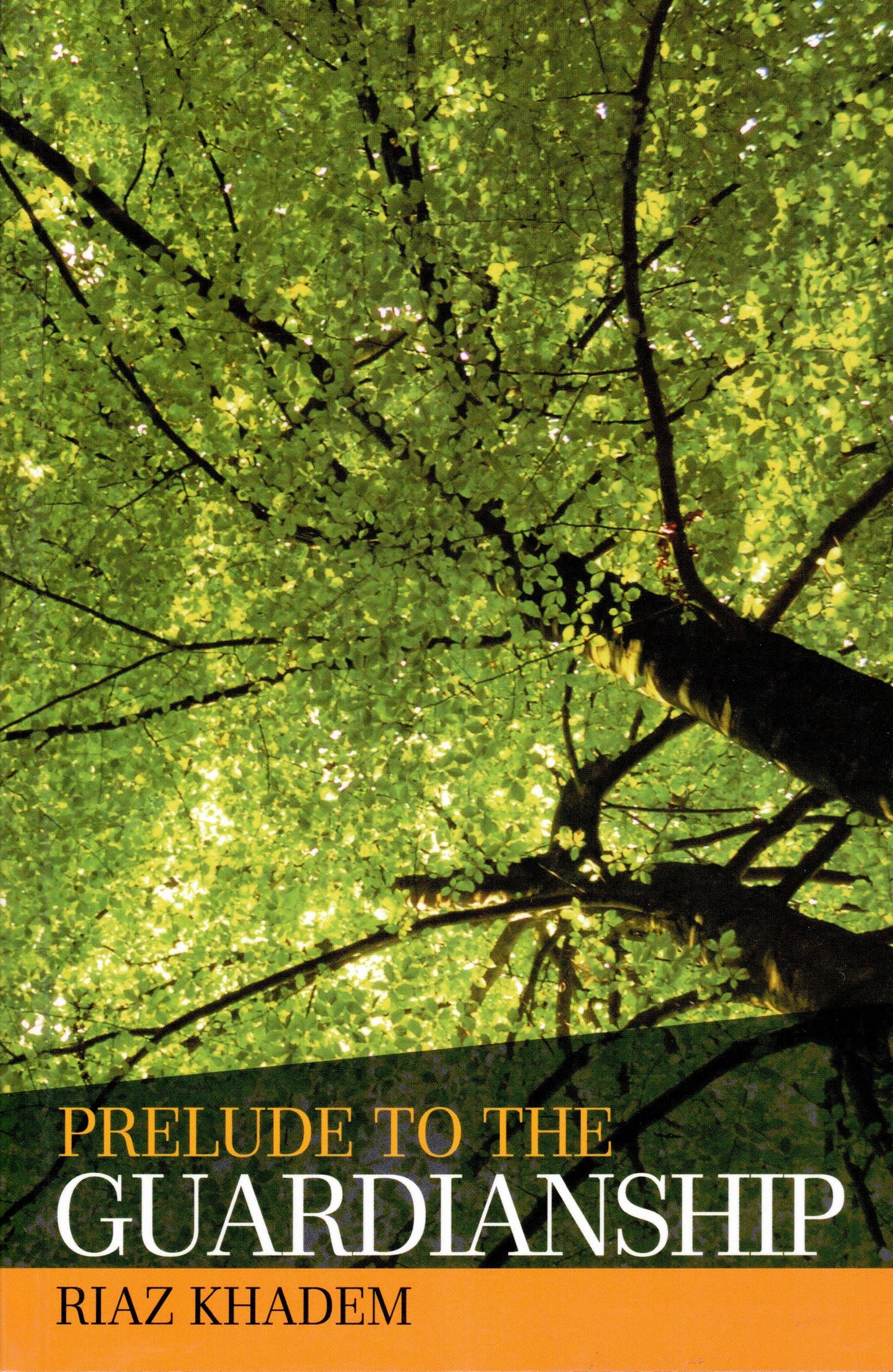 Prelude to the Guardianship