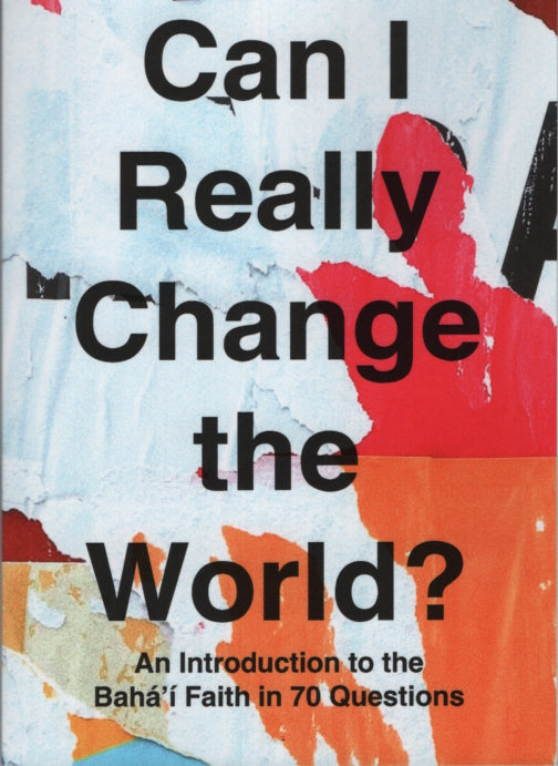 Can I Really Change the World