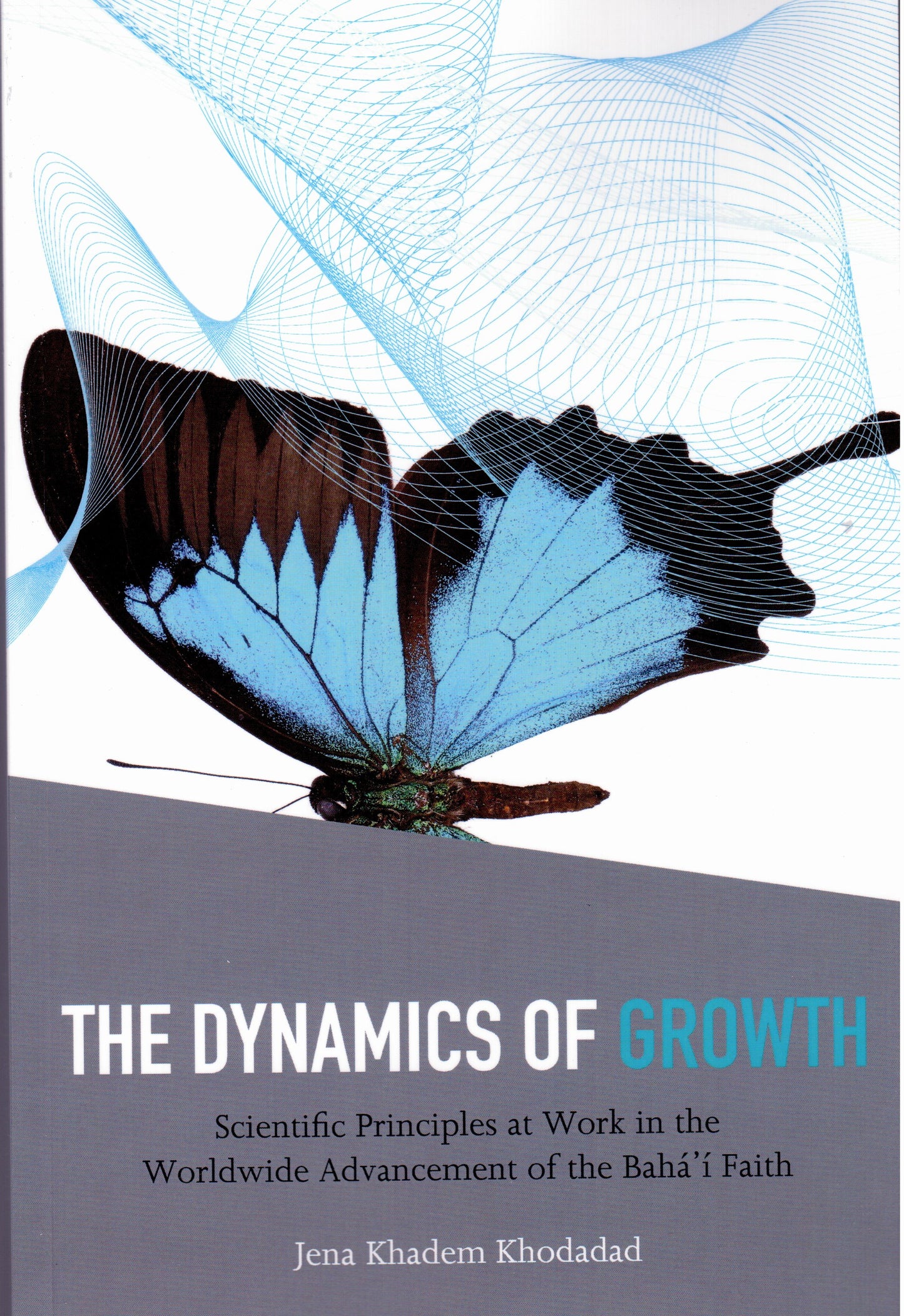 Dynamics of Growth, The
